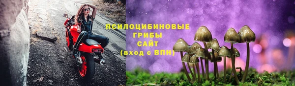 крисы Нягань