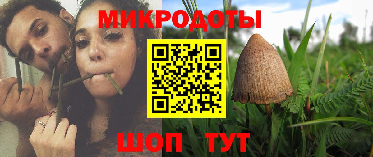 Галлюциногенные грибы MAGIC MUSHROOMS  Псилоцибиновые грибы мицелий  Вход с VPN  Нефтекумск 